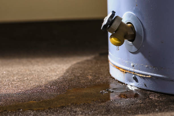 Best Residential water damage restoration  in Red Lick, TX