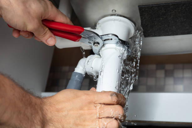 Best Fire Damage Restoration  in Red Lick, TX