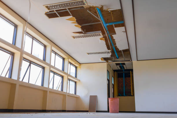 Best Ceiling water damage repair  in Red Lick, TX
