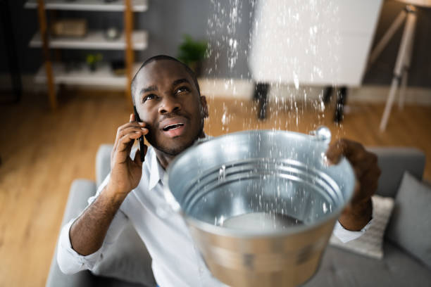 Best Water damage restoration specialists  in Red Lick, TX