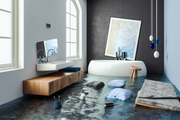 Best Water damage contractors near me  in Red Lick, TX