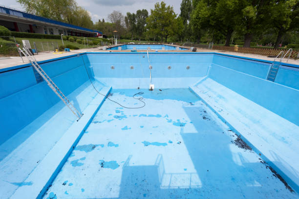 Best Water damage restoration services  in Red Lick, TX