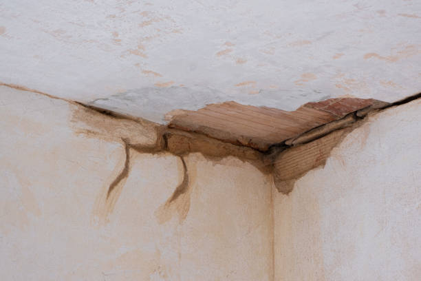  Red Lick, TX Water damage restoration Pros