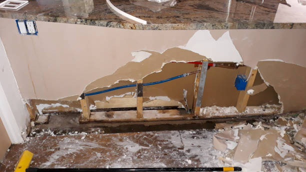 Best Carpet water damage restoration  in Red Lick, TX