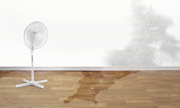 Reliable Red Lick, TX Water damage restoration Solutions