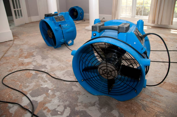 Best Commercial water damage restoration  in Red Lick, TX