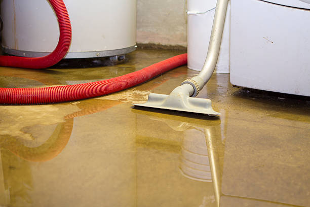 Best Emergency water damage restoration  in Red Lick, TX