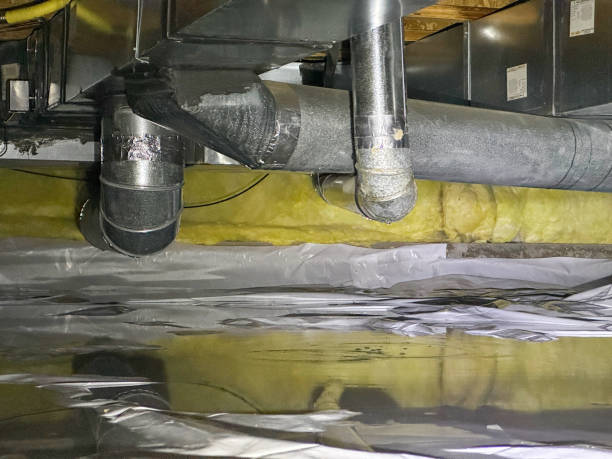 Best 24-hour water damage restoration  in Red Lick, TX
