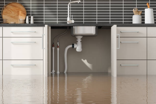 Best Sewage cleanup and water damage restoration  in Red Lick, TX
