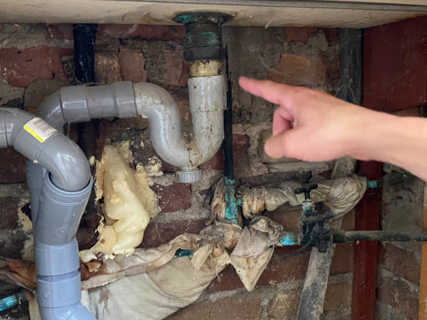 Best Ceiling water damage repair  in Red Lick, TX