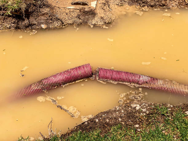 Best Sewage cleanup and water damage restoration  in Red Lick, TX