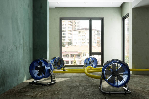 Best 24/7 water damage repair  in Red Lick, TX