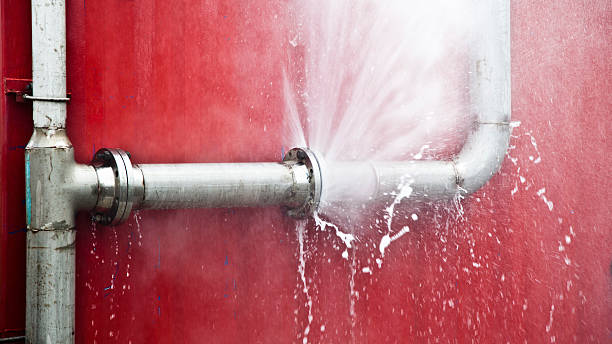 Best Water damage contractors near me  in Red Lick, TX